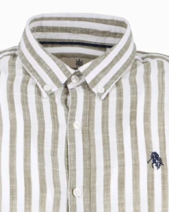 BLUE LEMON - Camicia manica lunga riga grande verde salvia misto lino botton down