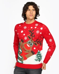 ENRICO COVERI - Maglione natalizio da uomo
