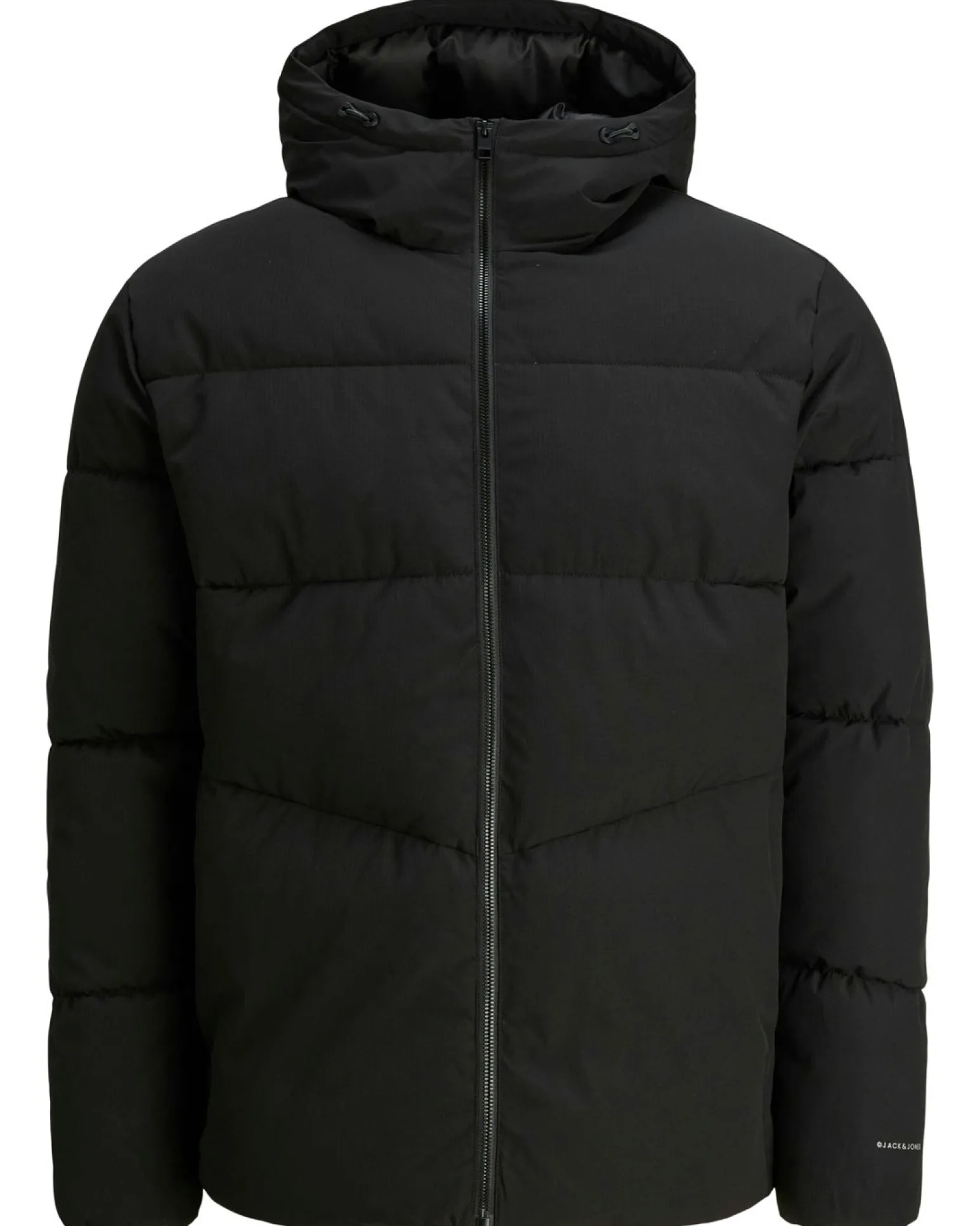 GIUBBINO GLOBAL PUFFER