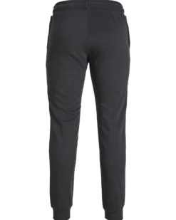 PANTALONE IN FELPA ST GORDON