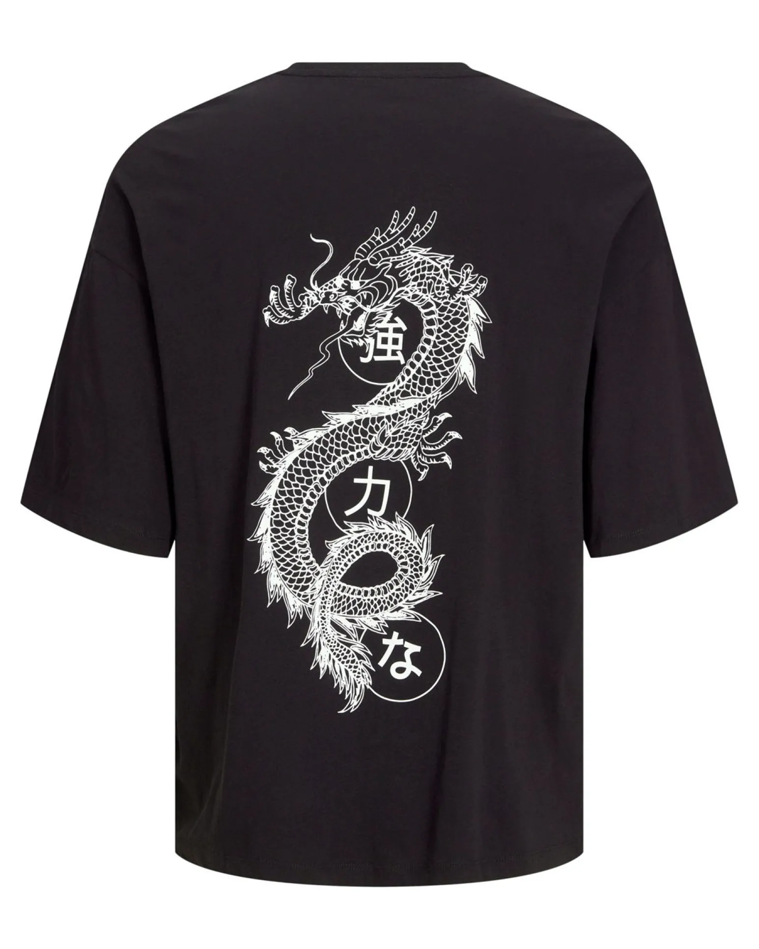 TSHIRT MANICA CORTA DRAGON