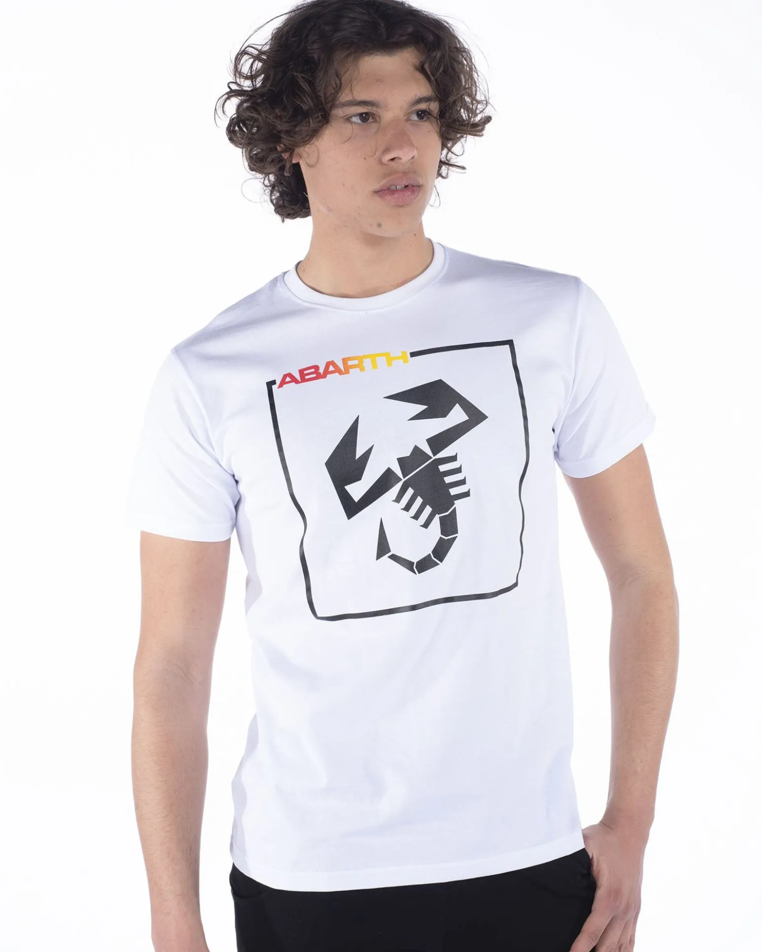 UOMO TSHIRT MEZZA MANICA